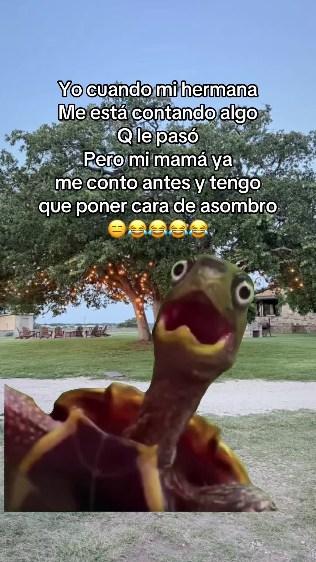 @El Trevol