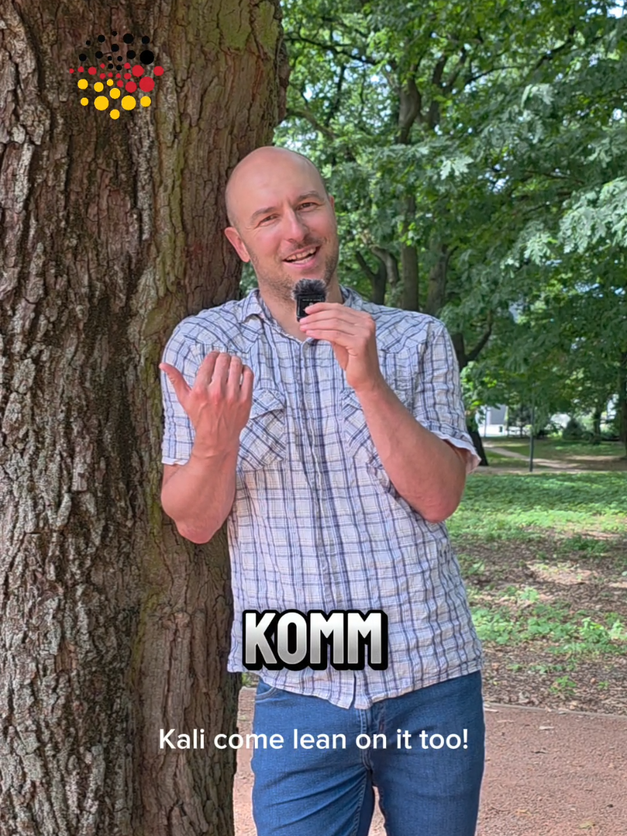 @Profi Deutsch
