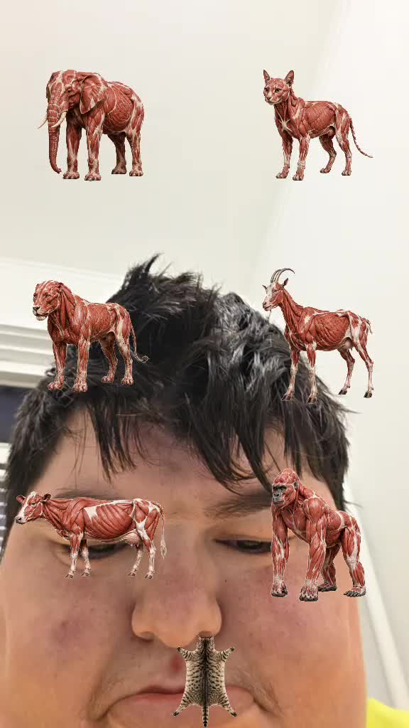 @FIREASH_THEWOLFFANF