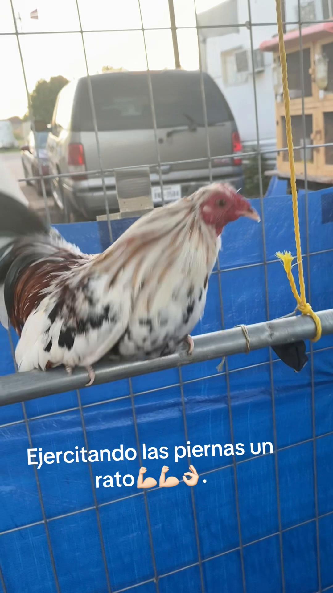 @FARMING.MM56