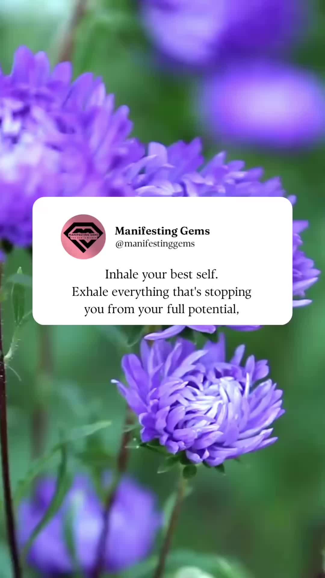 @Manifesting Gems