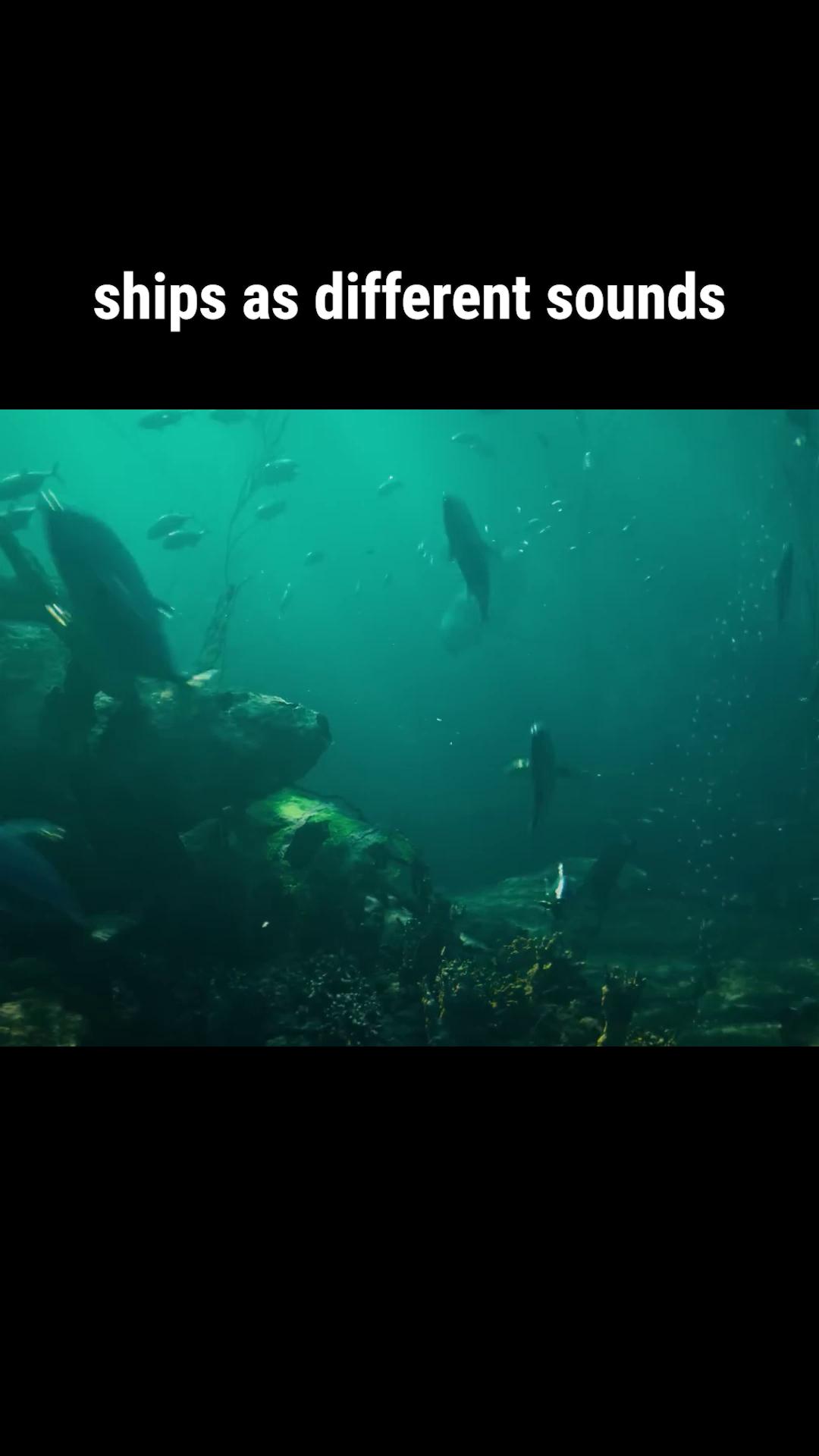 @WorldOfWarships