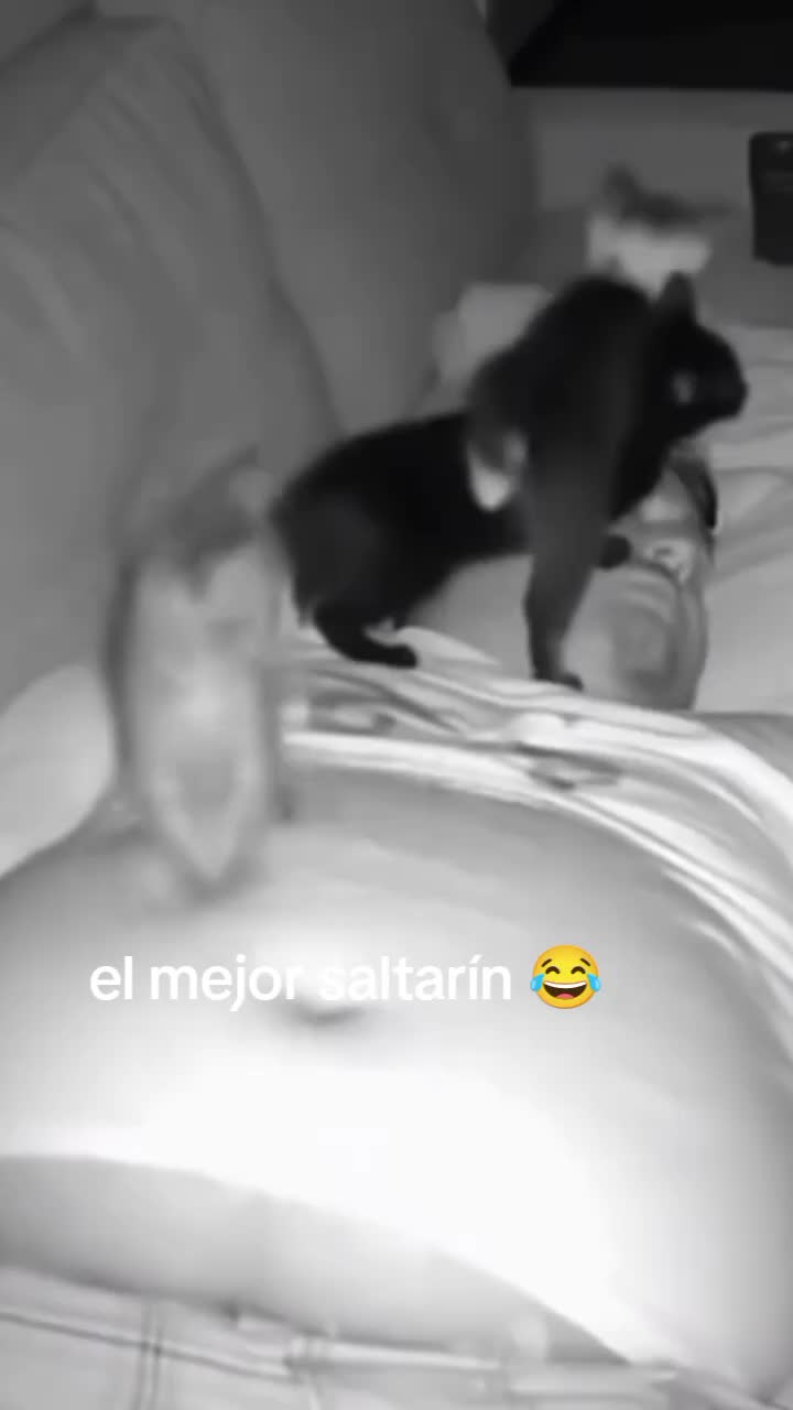 @jhon mario Z&uacute;&ntilde;iga