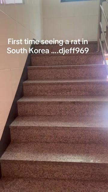 @djeff969