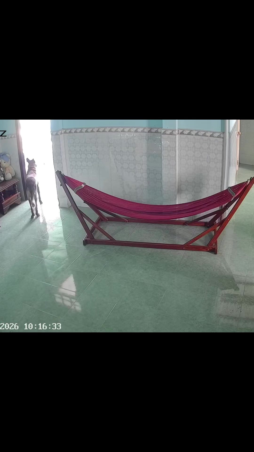 @id.tuyen