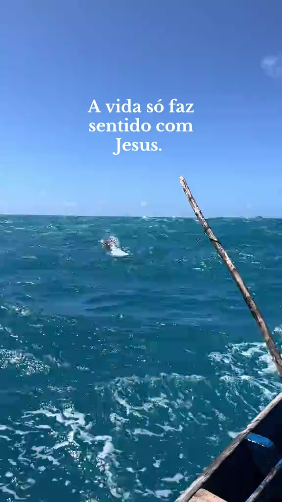 @aurorinha