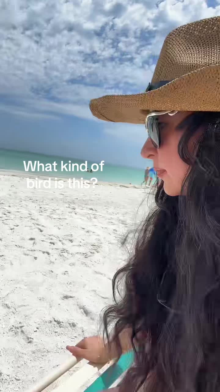 @ettarising