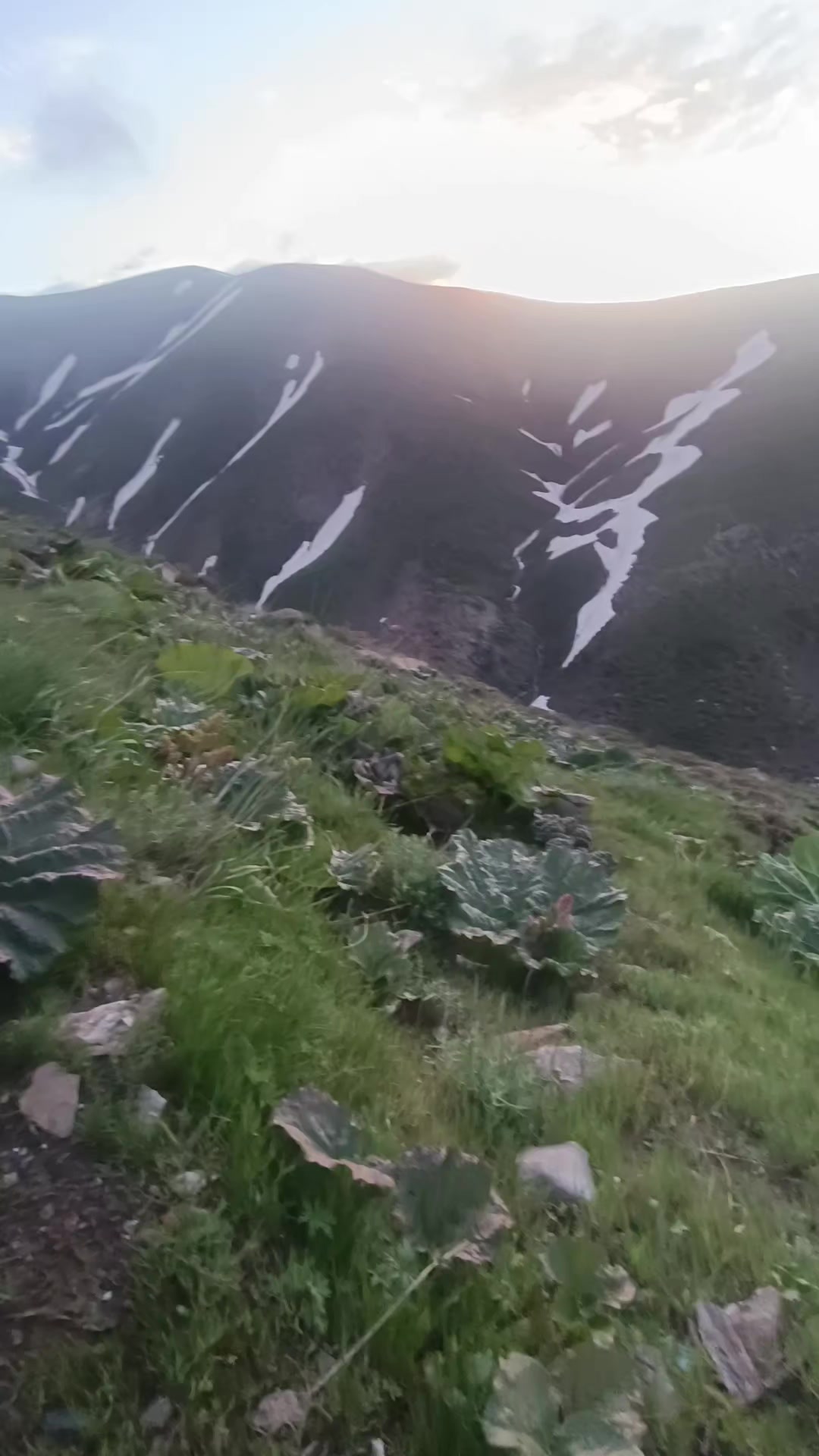 @BETLÎS(13)