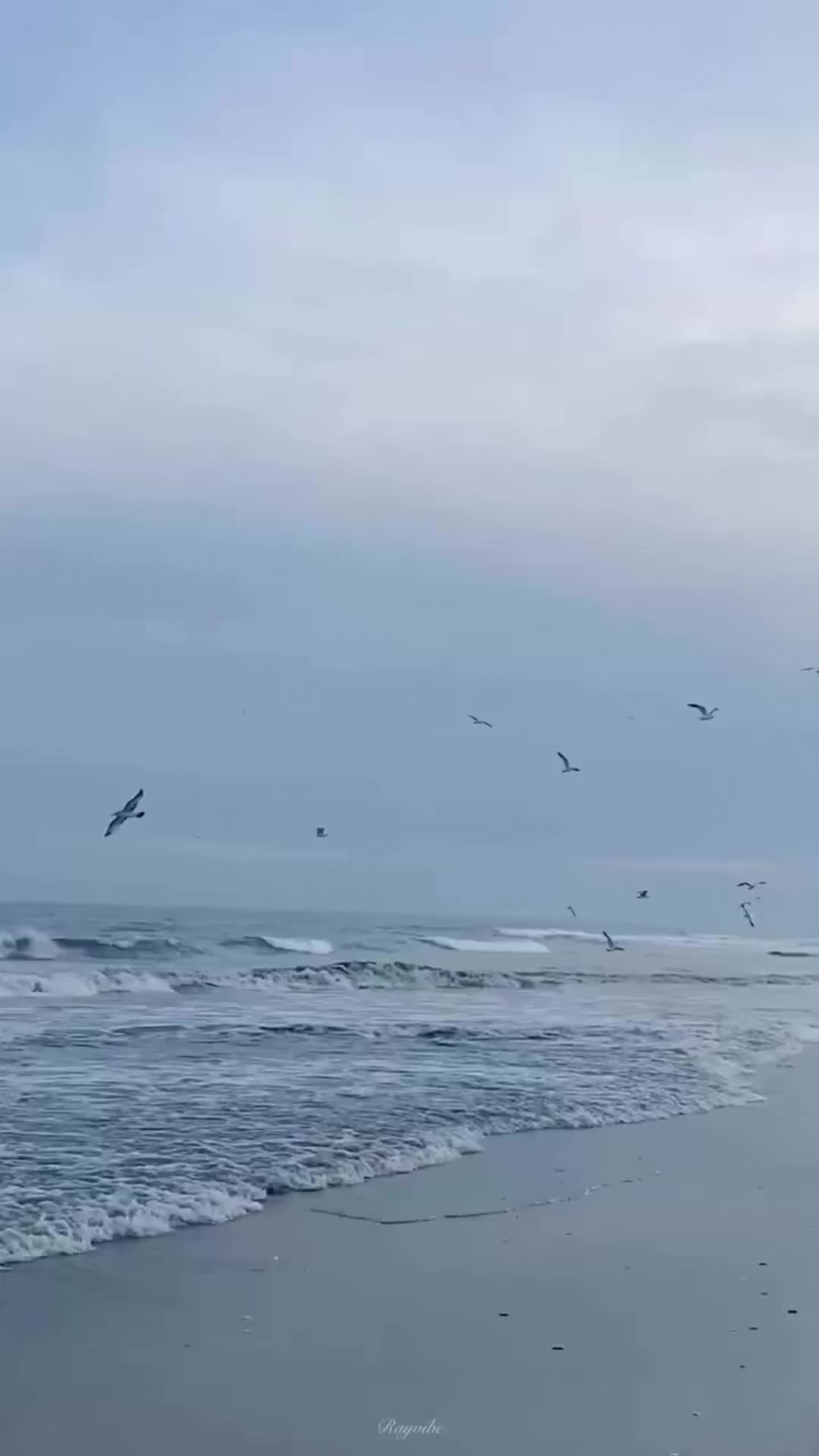 @rayvibe