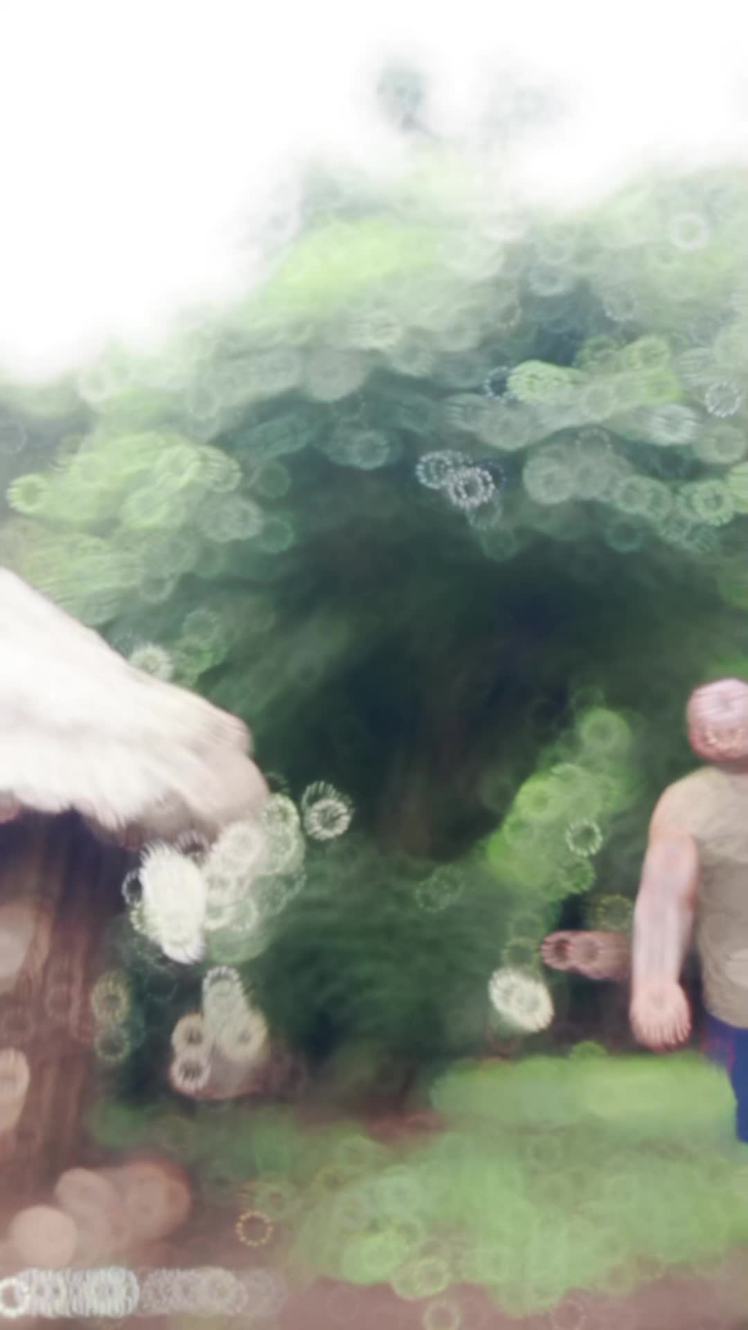 @Dejene11