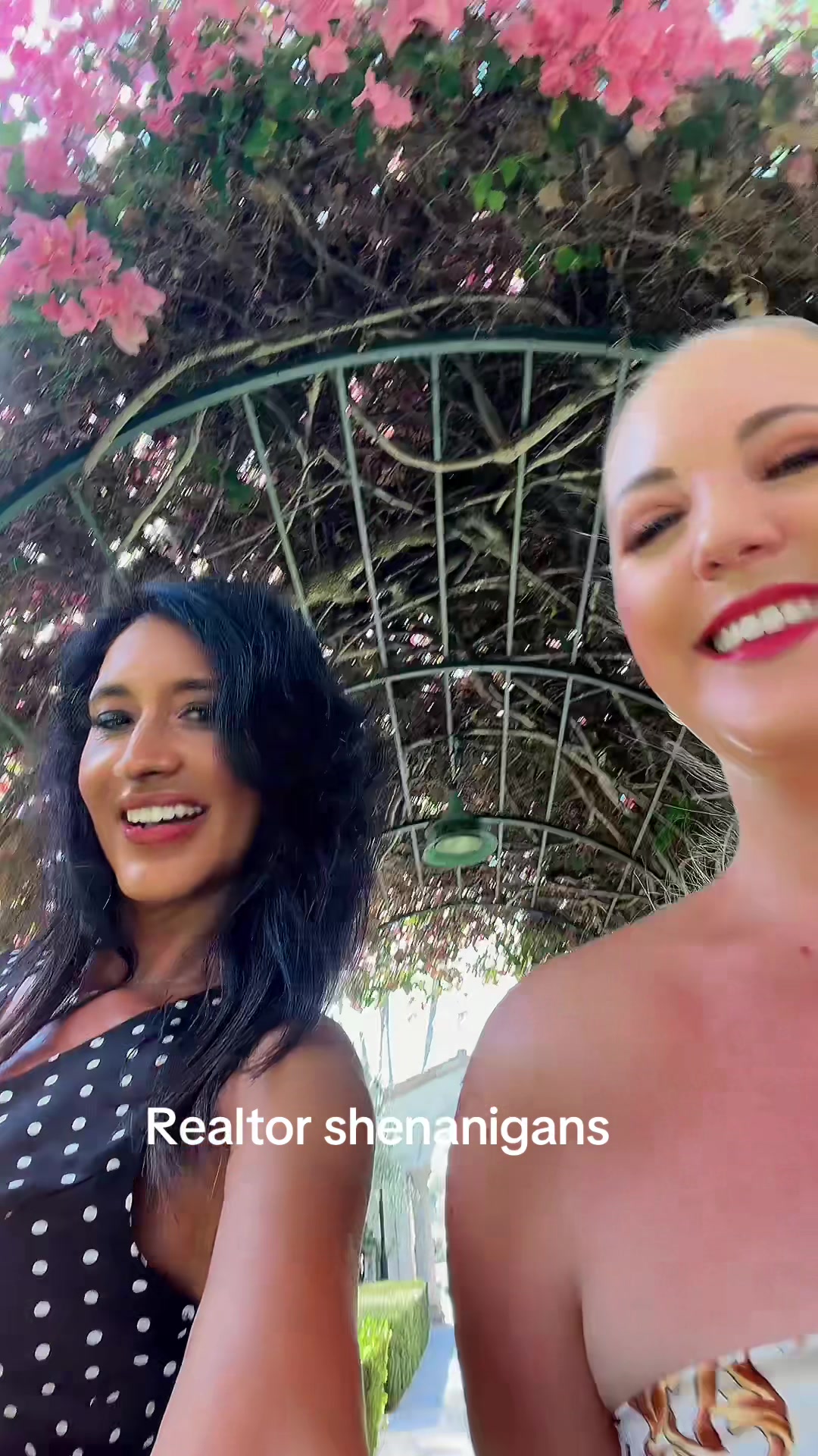 @Chictok