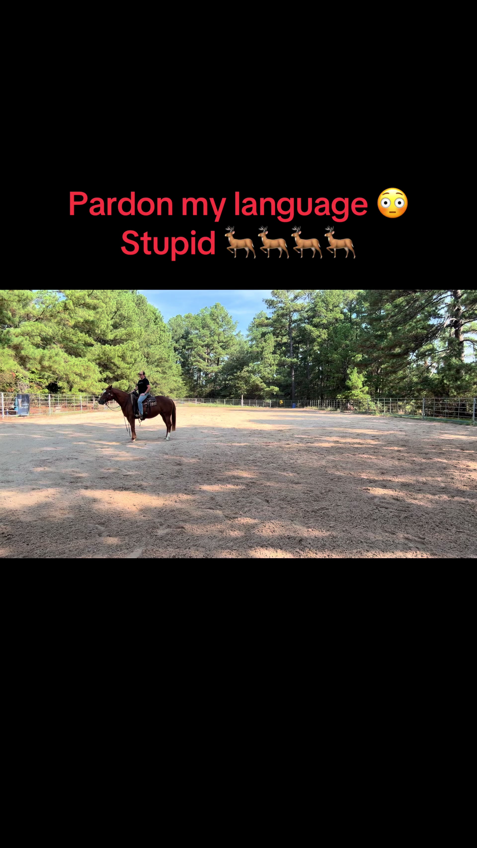 @Kjackson 🐴❤️