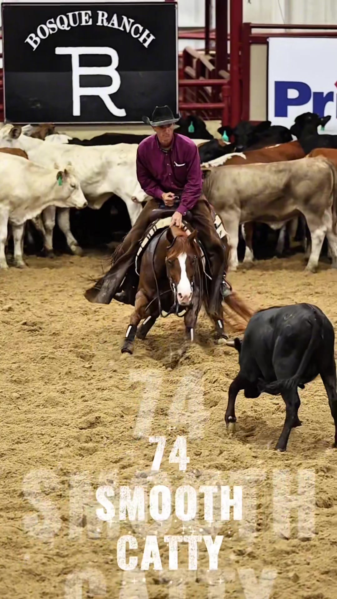 @rtabogacuttinghorses