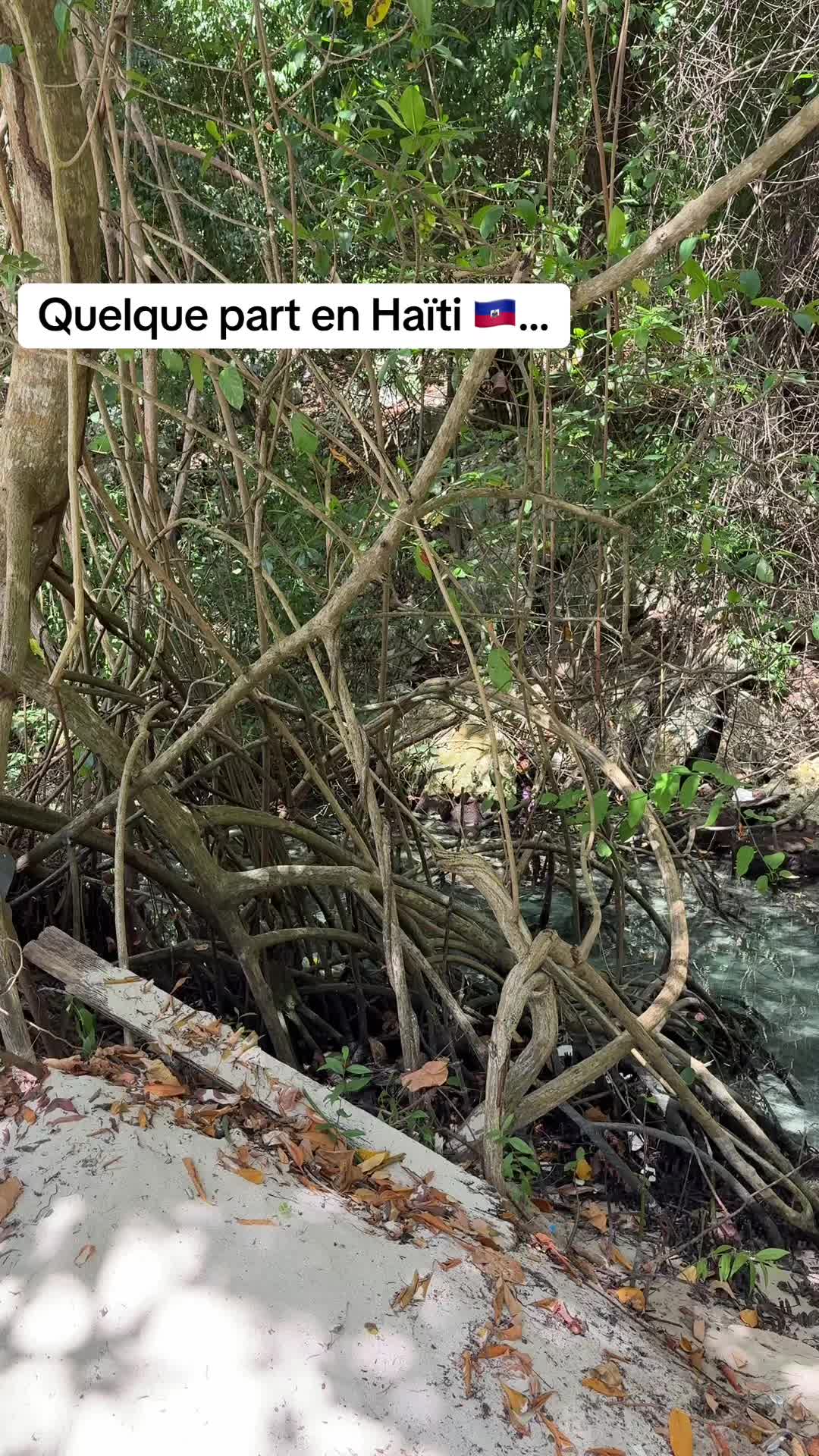 @Raz 🇭🇹