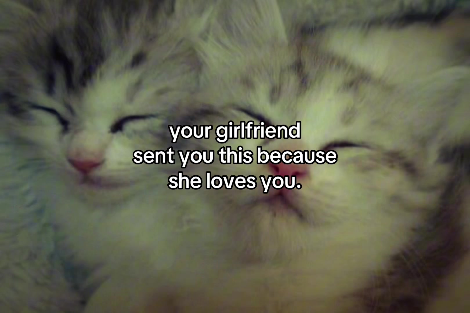 @sxalenz