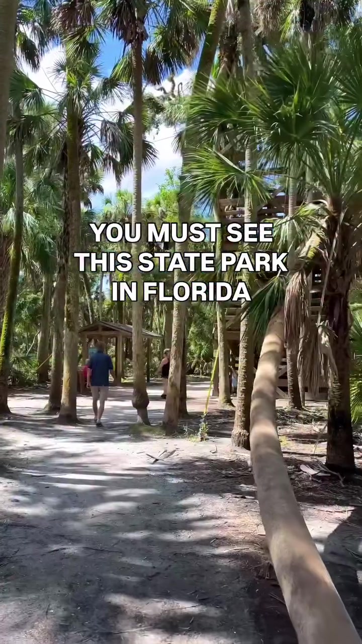 @Must See Florida