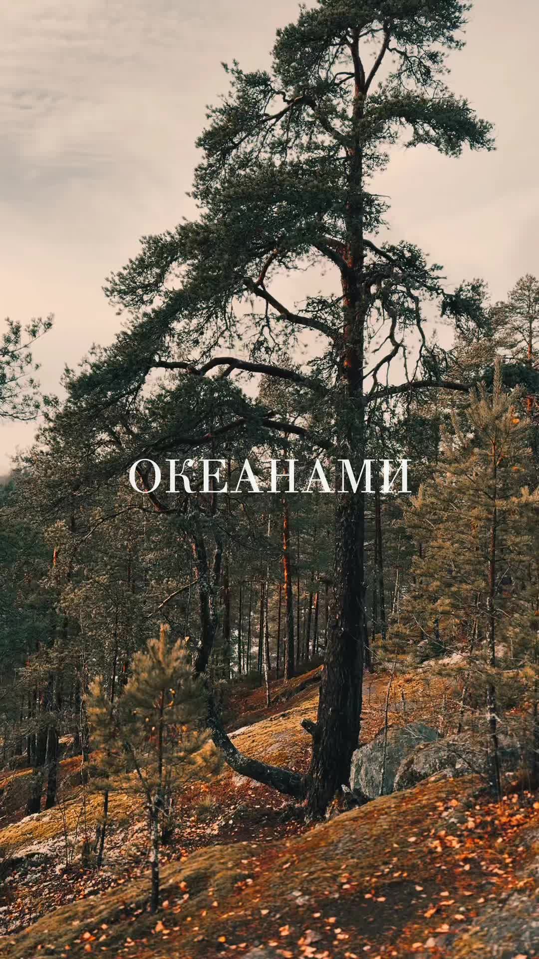 @HAUKORIGINAL