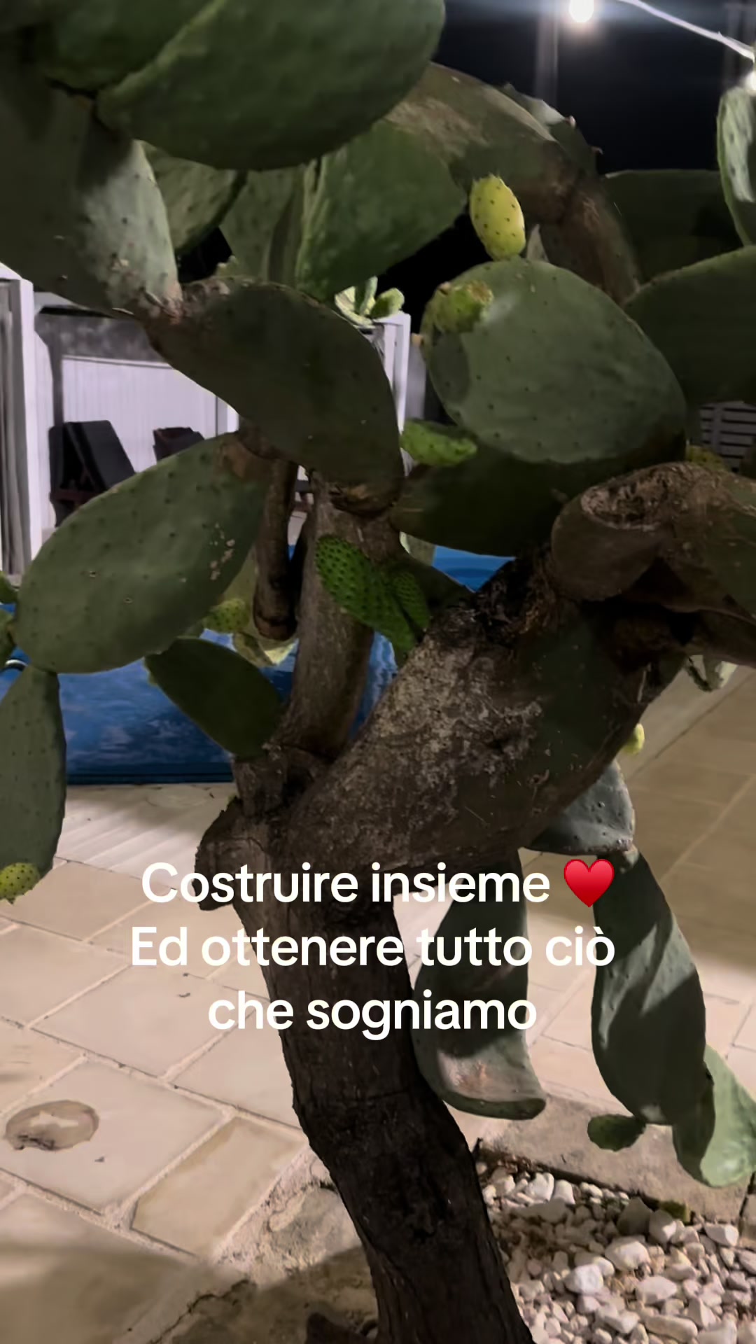 @Ilaria passaretti