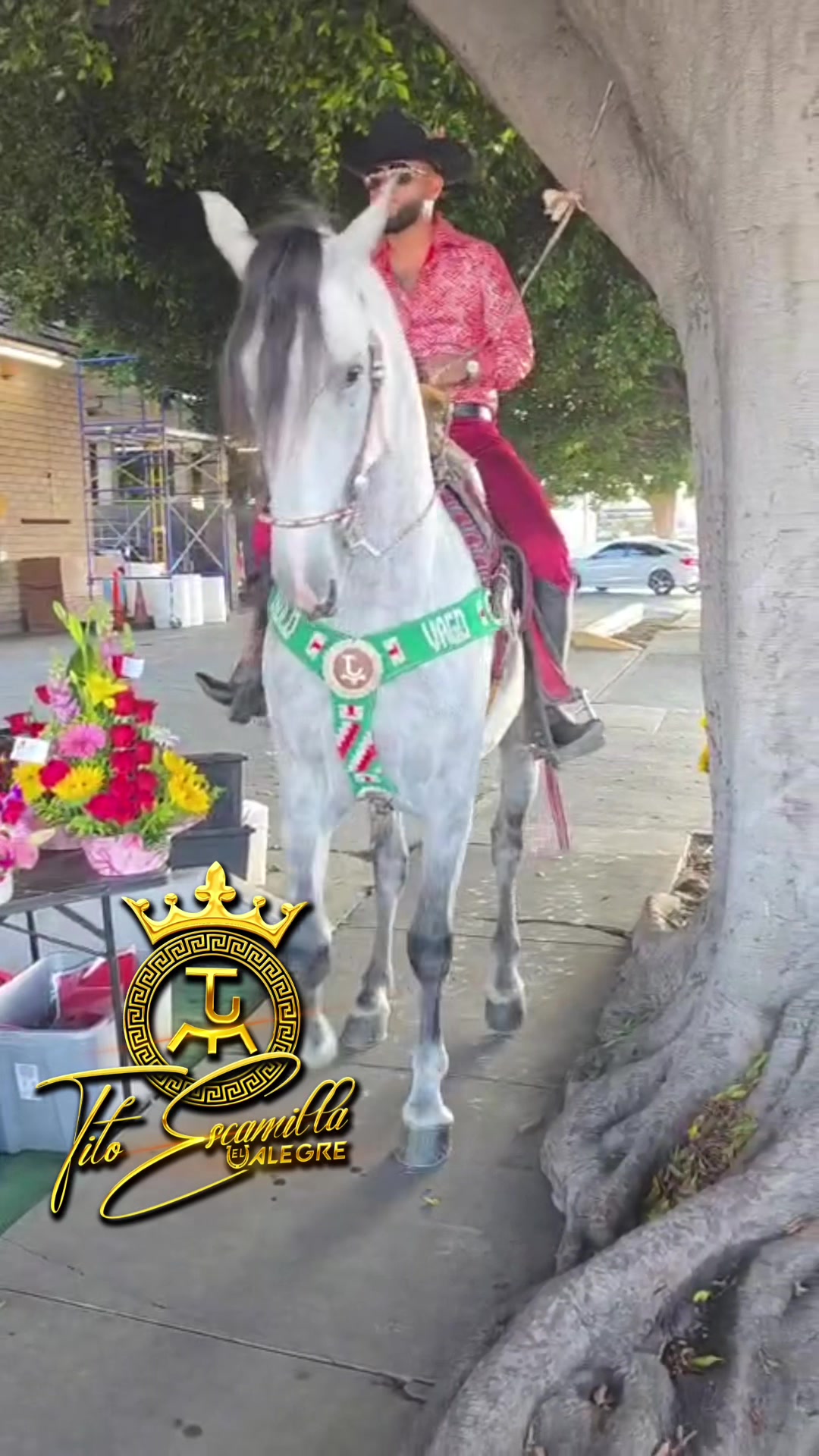 @Tito escamilla El Alegre