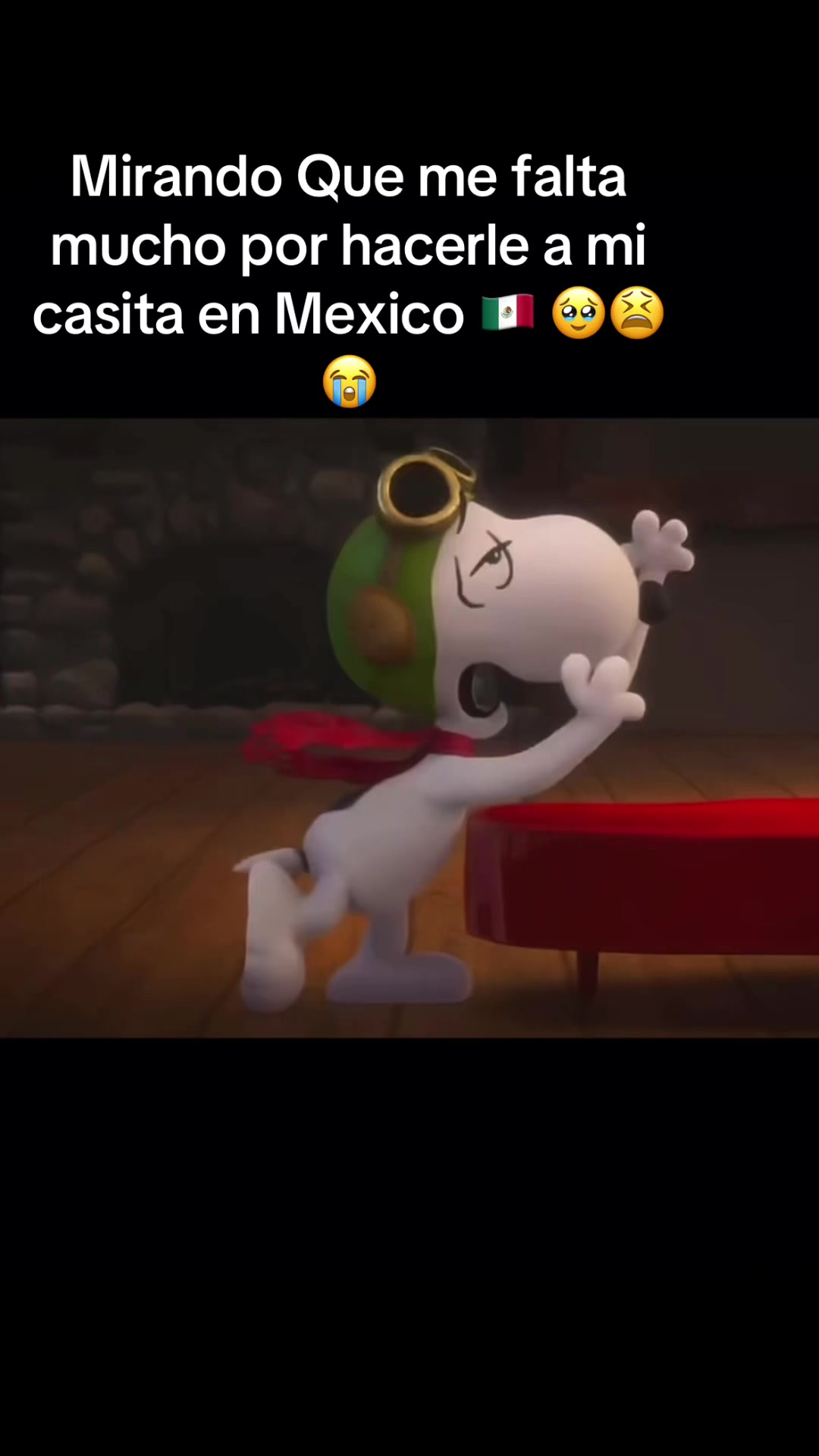 @🌸❤️ imevazquez ❤️🌸