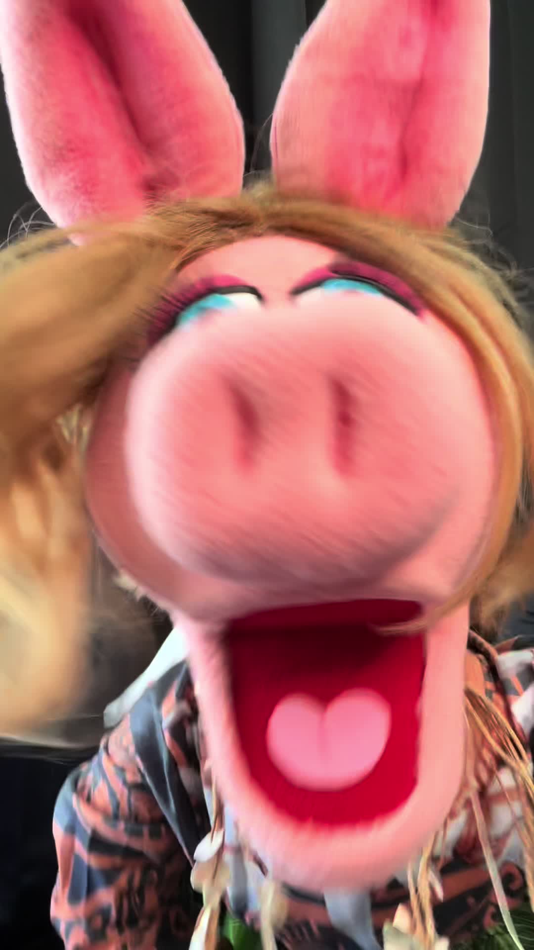 @Kermit MaFrog