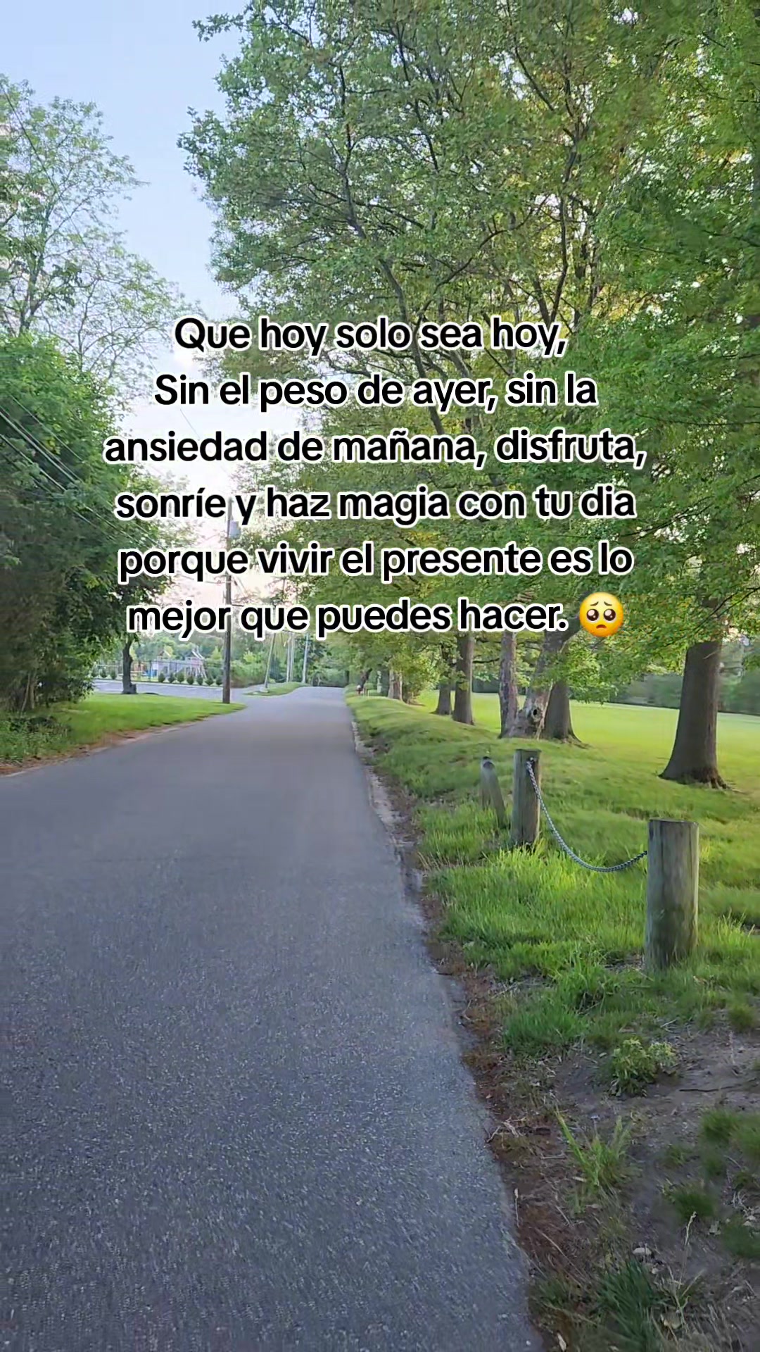 @terezhiiiiiii