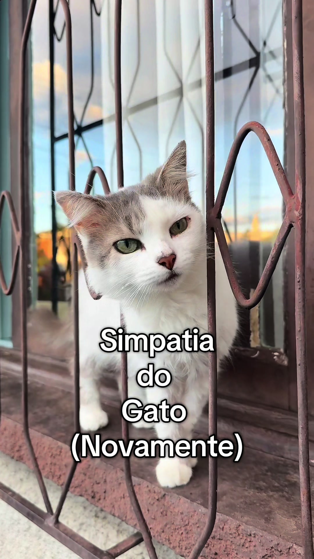 @Jo&atilde;o Castro