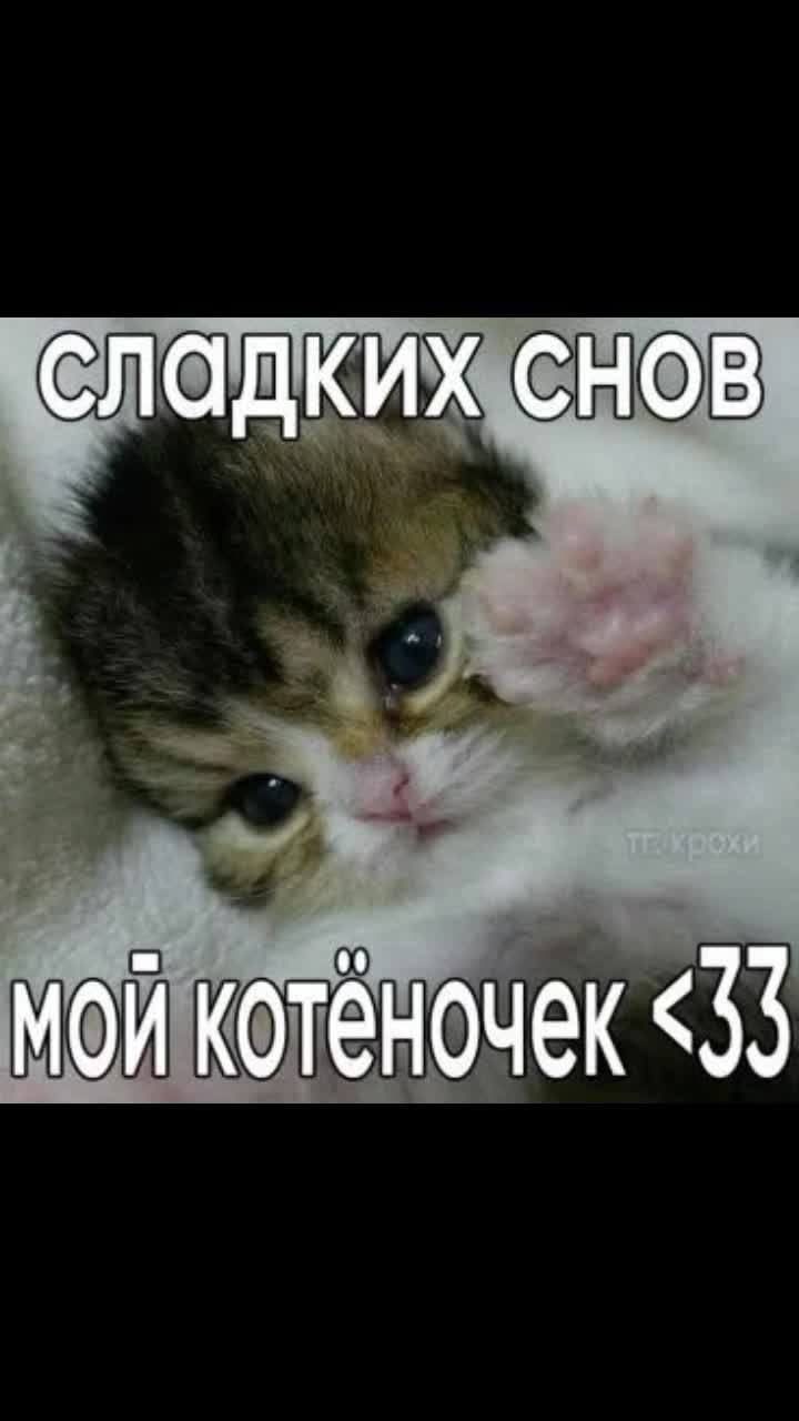 @кощик😛