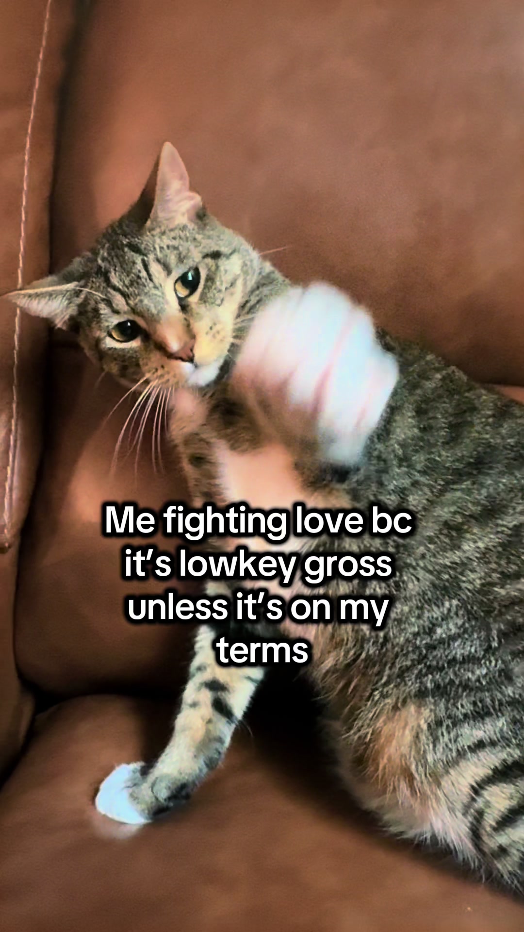 @Jay