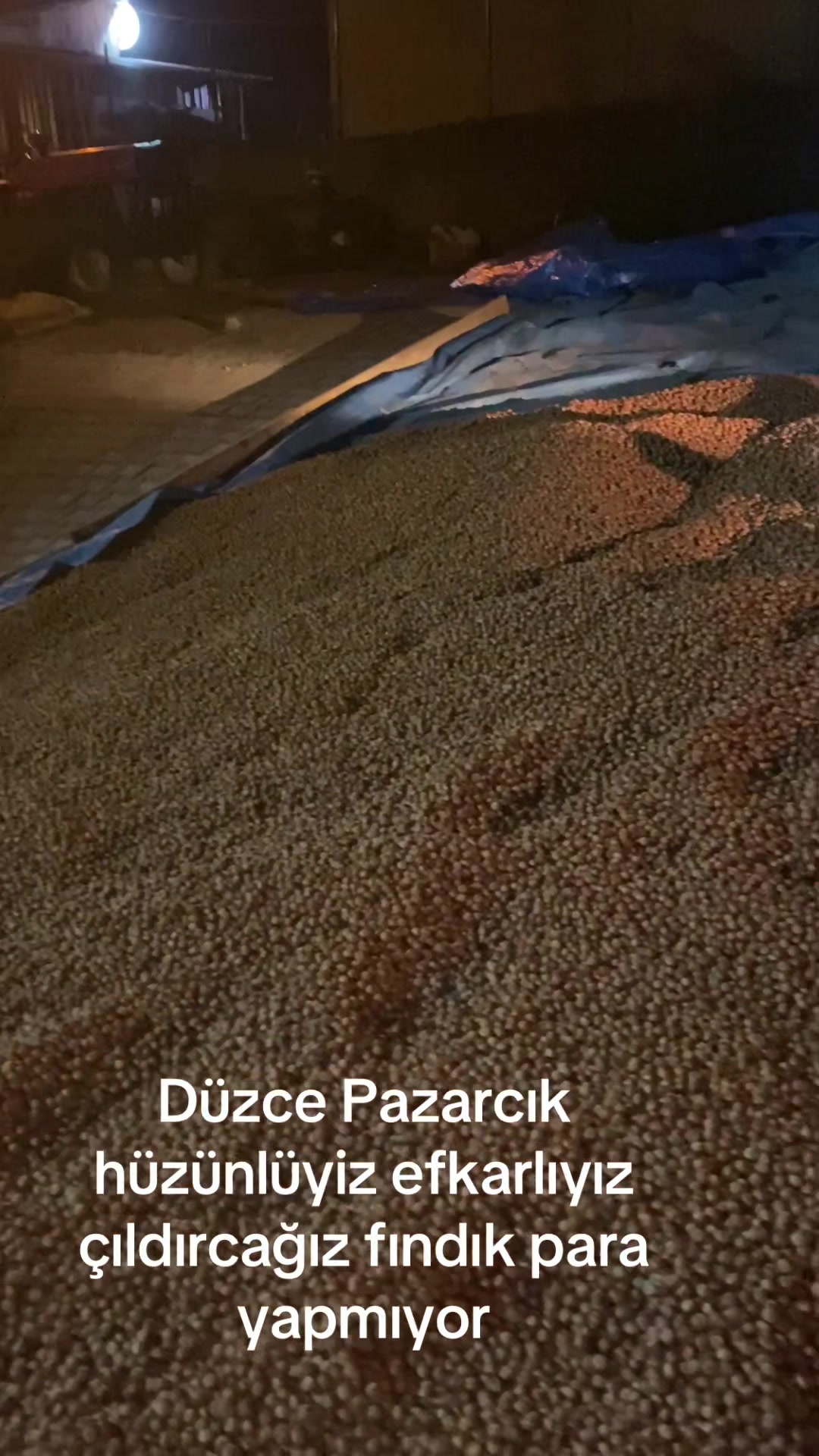 @Turan Çiçek