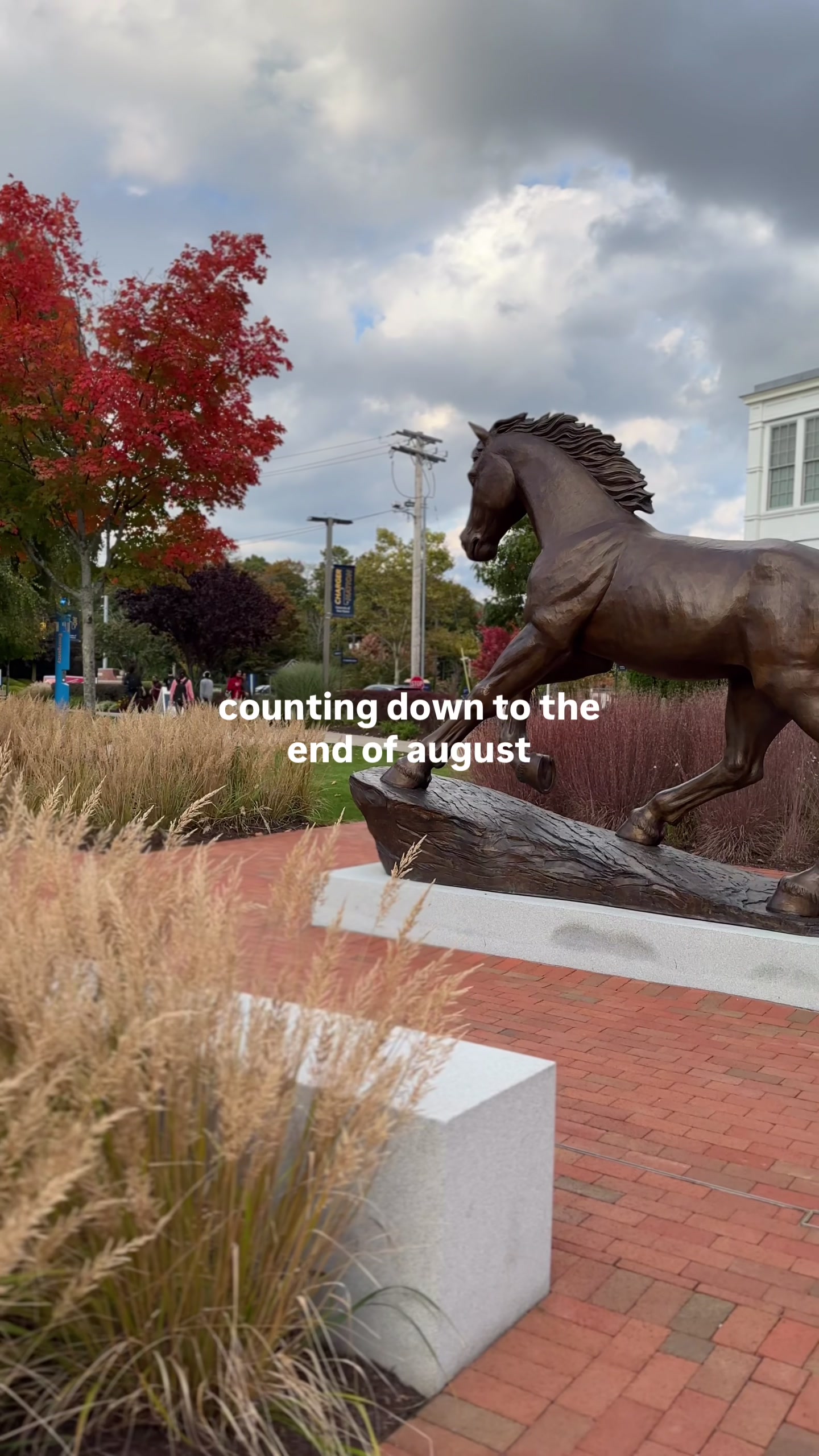 @University of New Haven