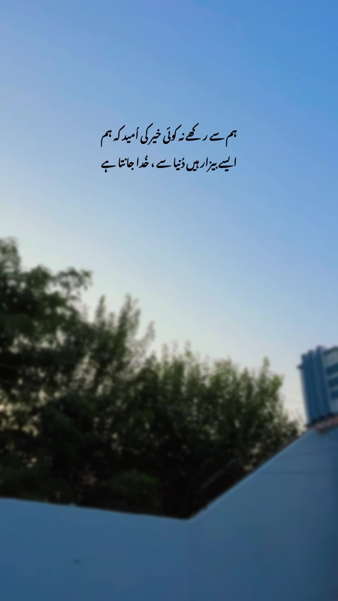 @Laiبa🥀💫