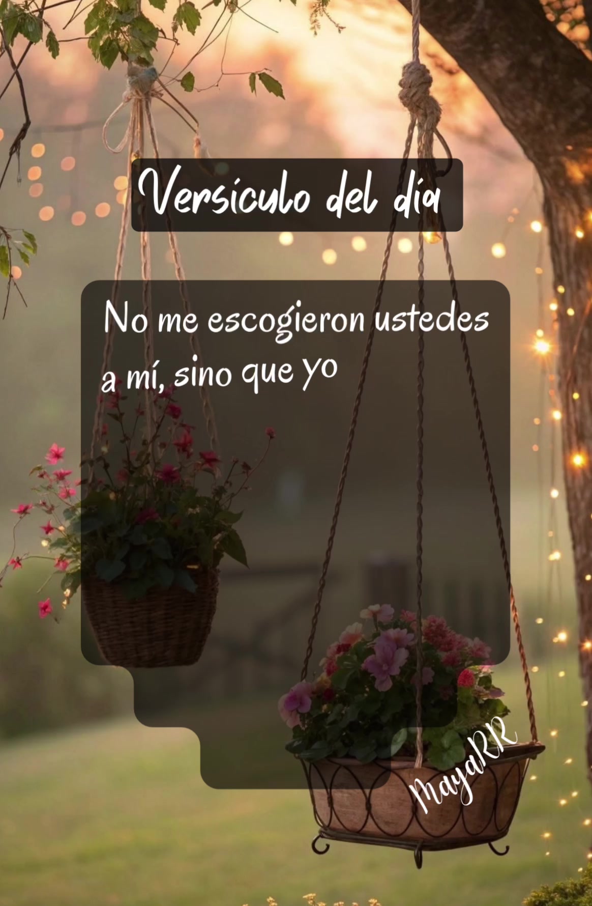 @Maya RR