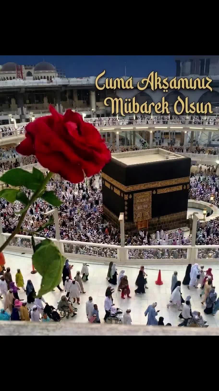 @MEVLÜT 0816