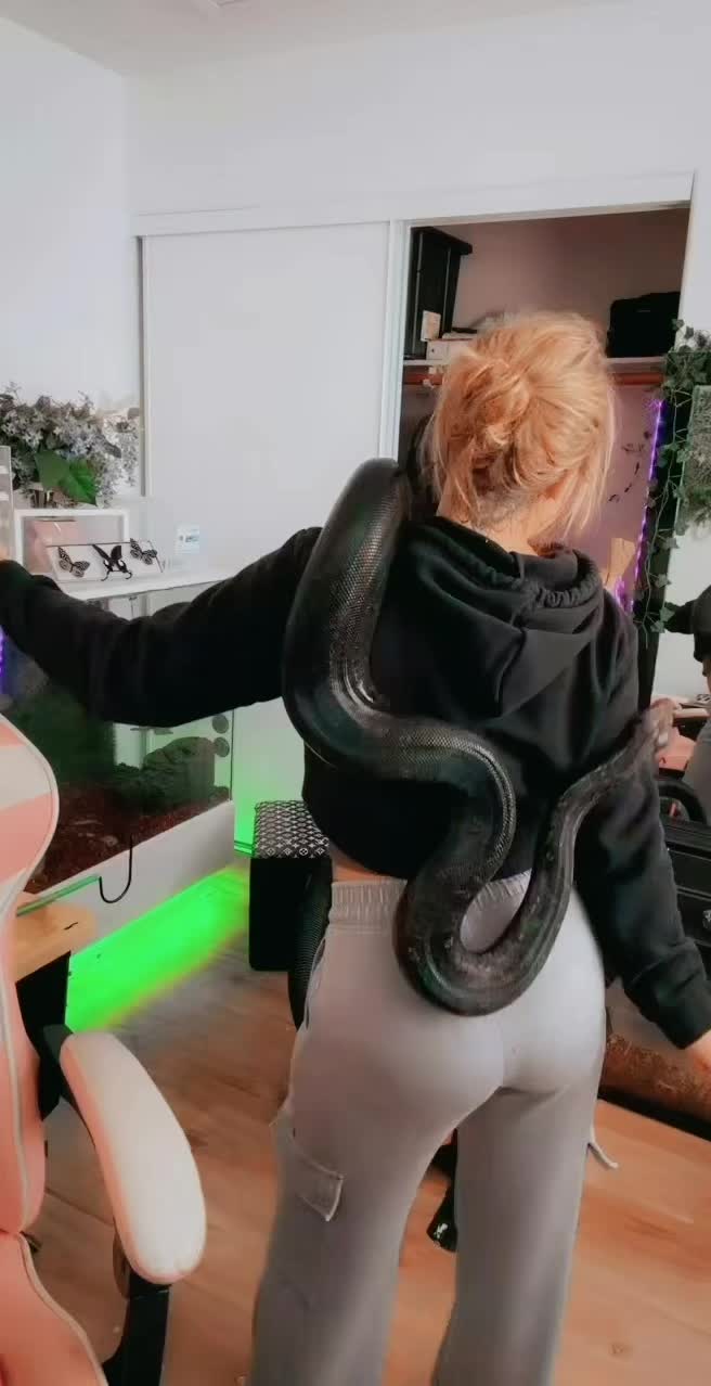 @Medusa Exotics
