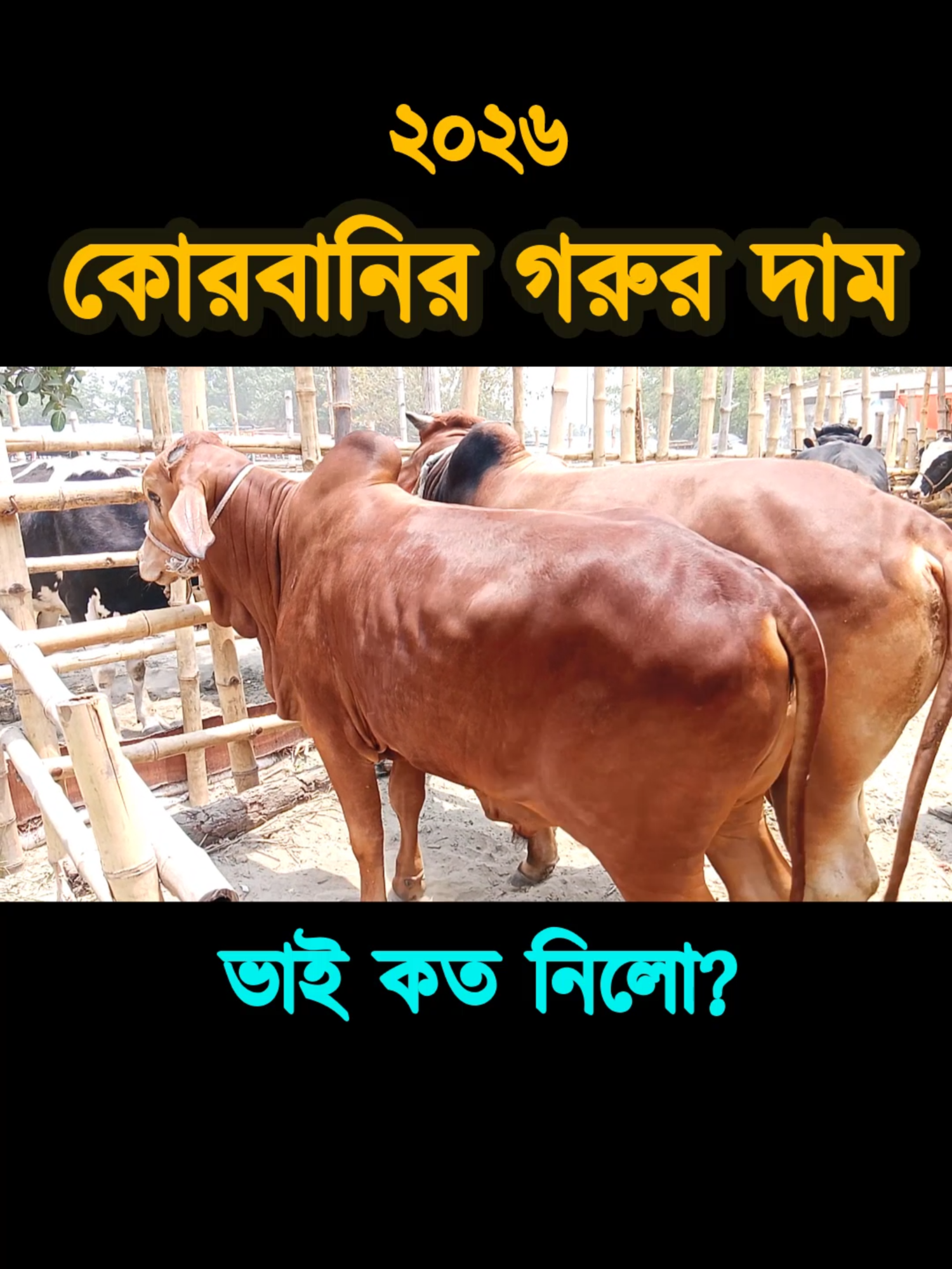 @Nayeem Islam