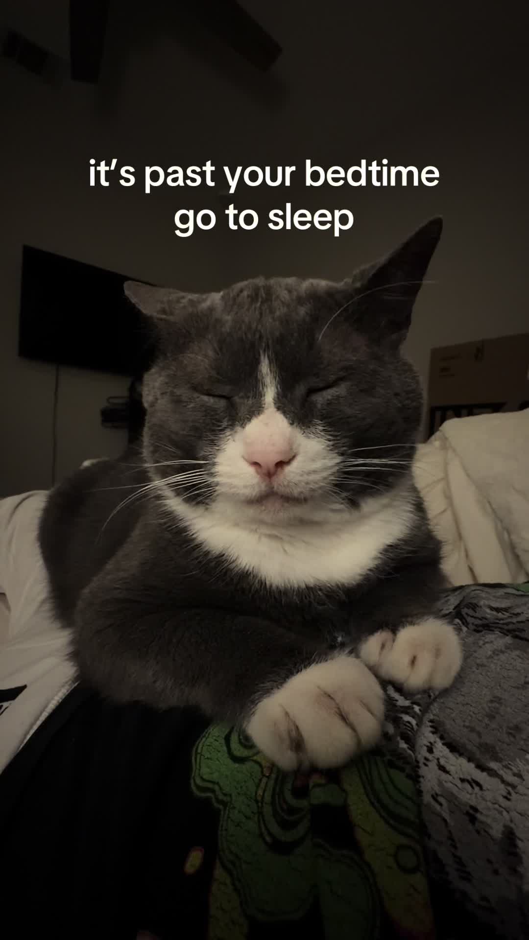 @stinkwalker