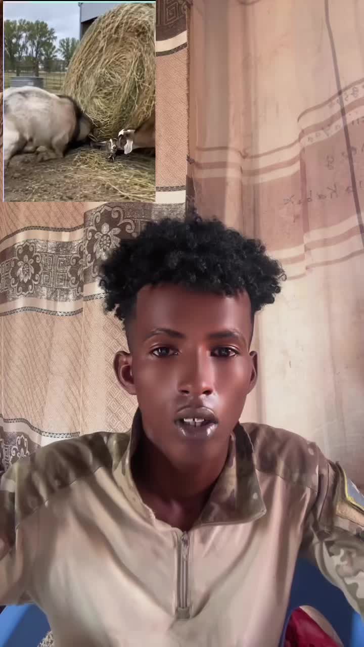 @Yaranka🦁codka cidanka🇸🇴🦾