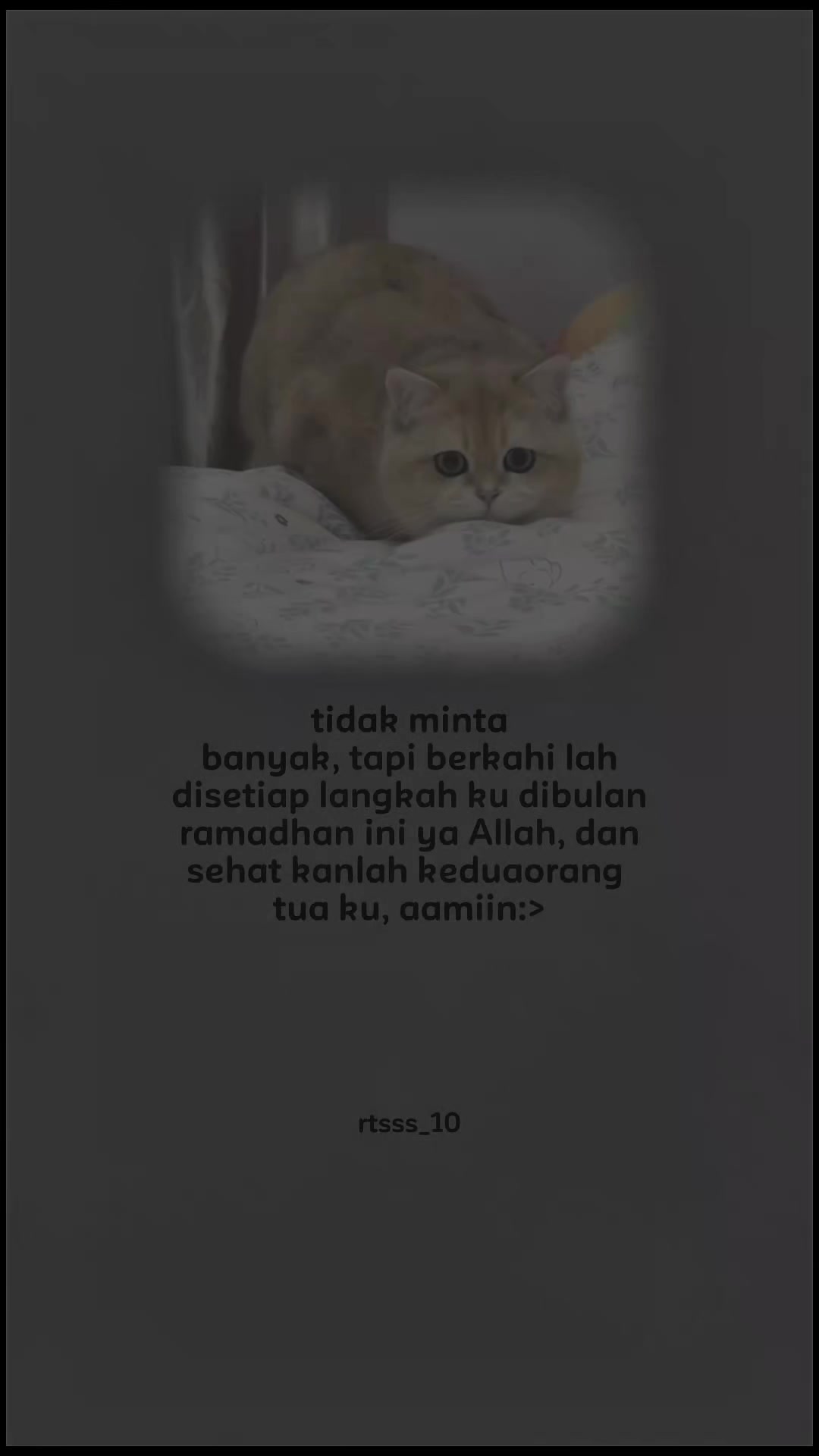 @ratsss