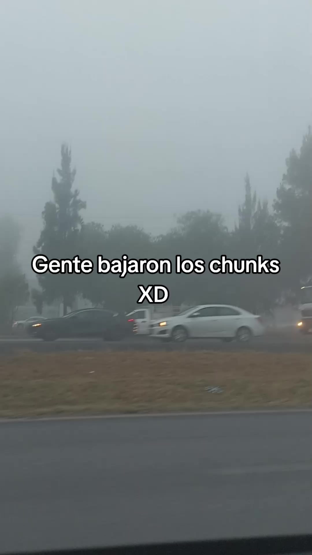 @Leones3004