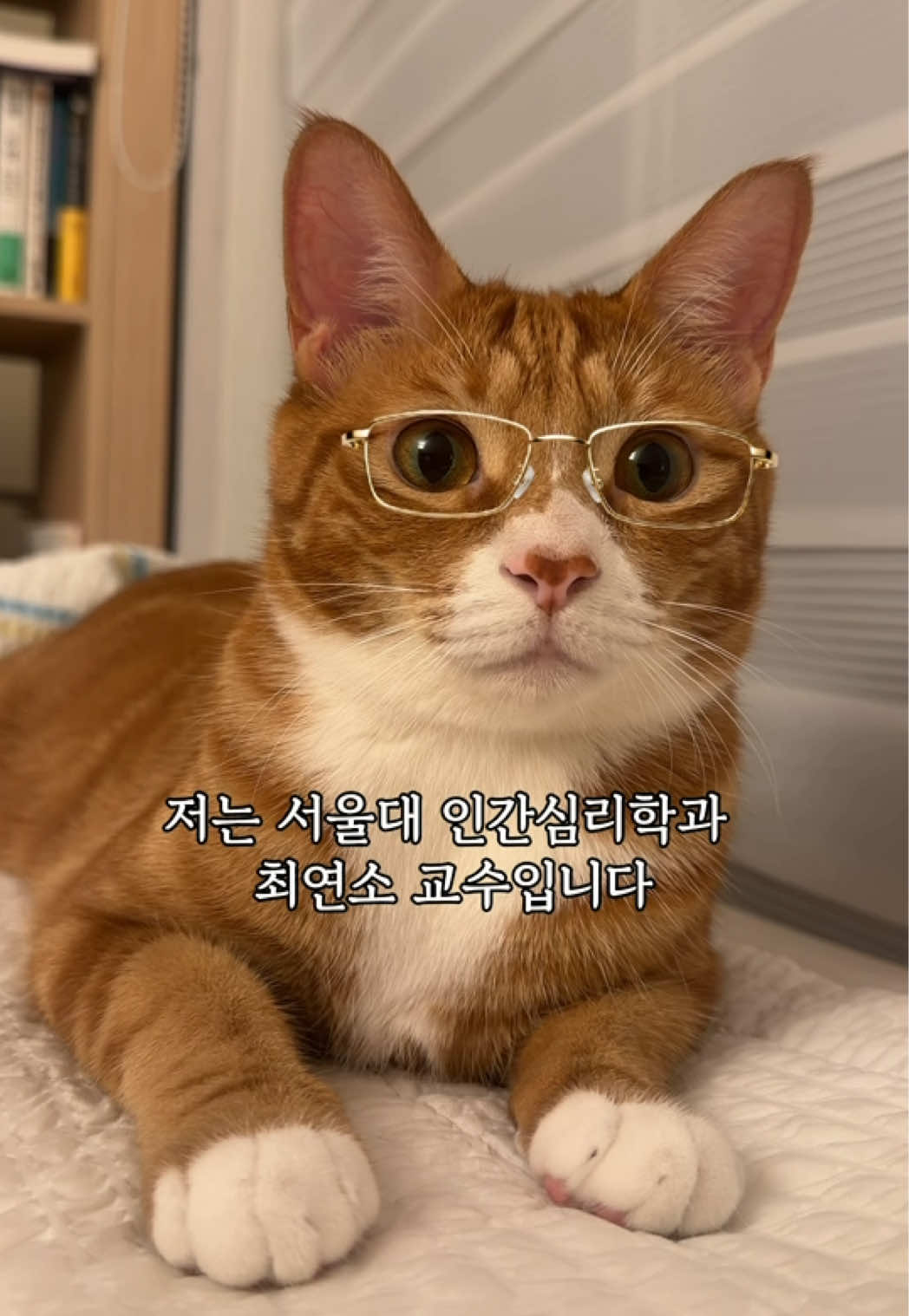 @뮤춘삼