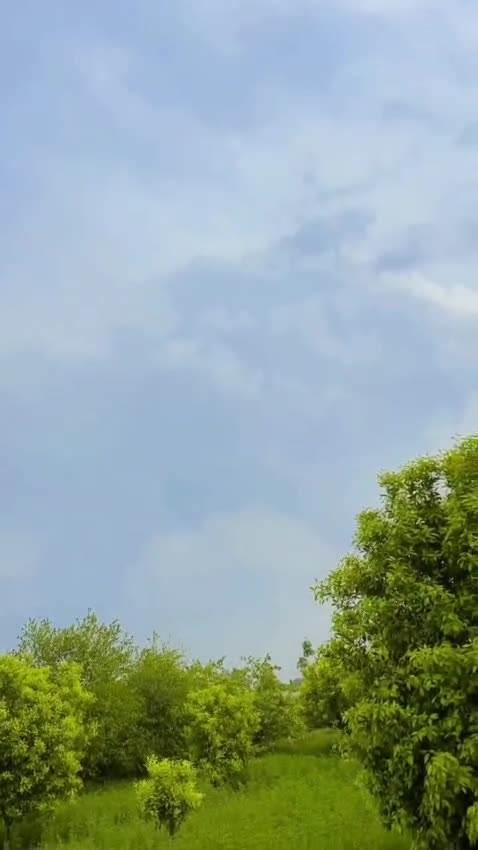 @عثمان ایوب خان نیازی 😎👑