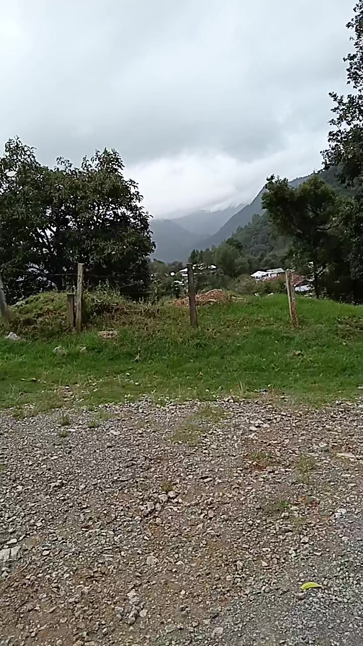 @JUANA GUZMÁN