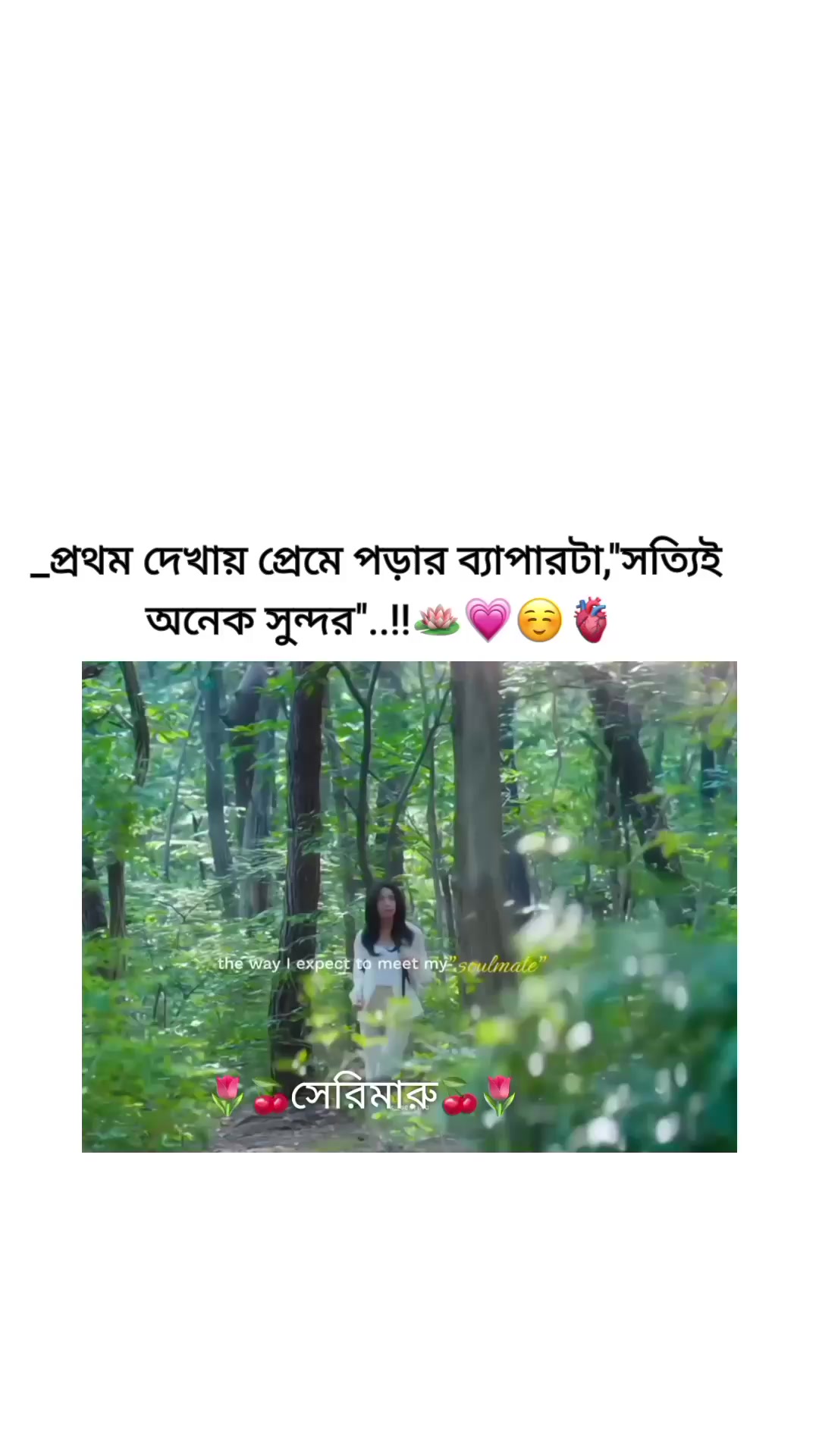 @🌷🍒সেরিমারু🍒🌷