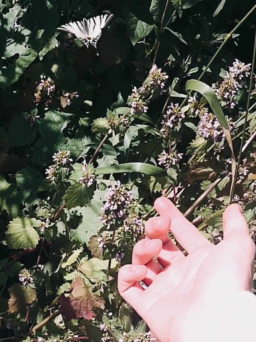 @Теру Миками 𒉭