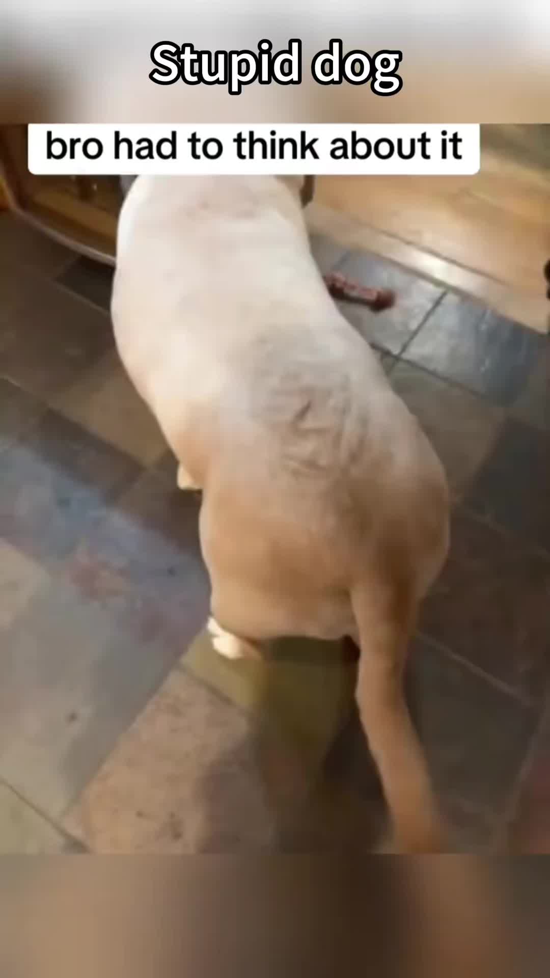 @funnyp87