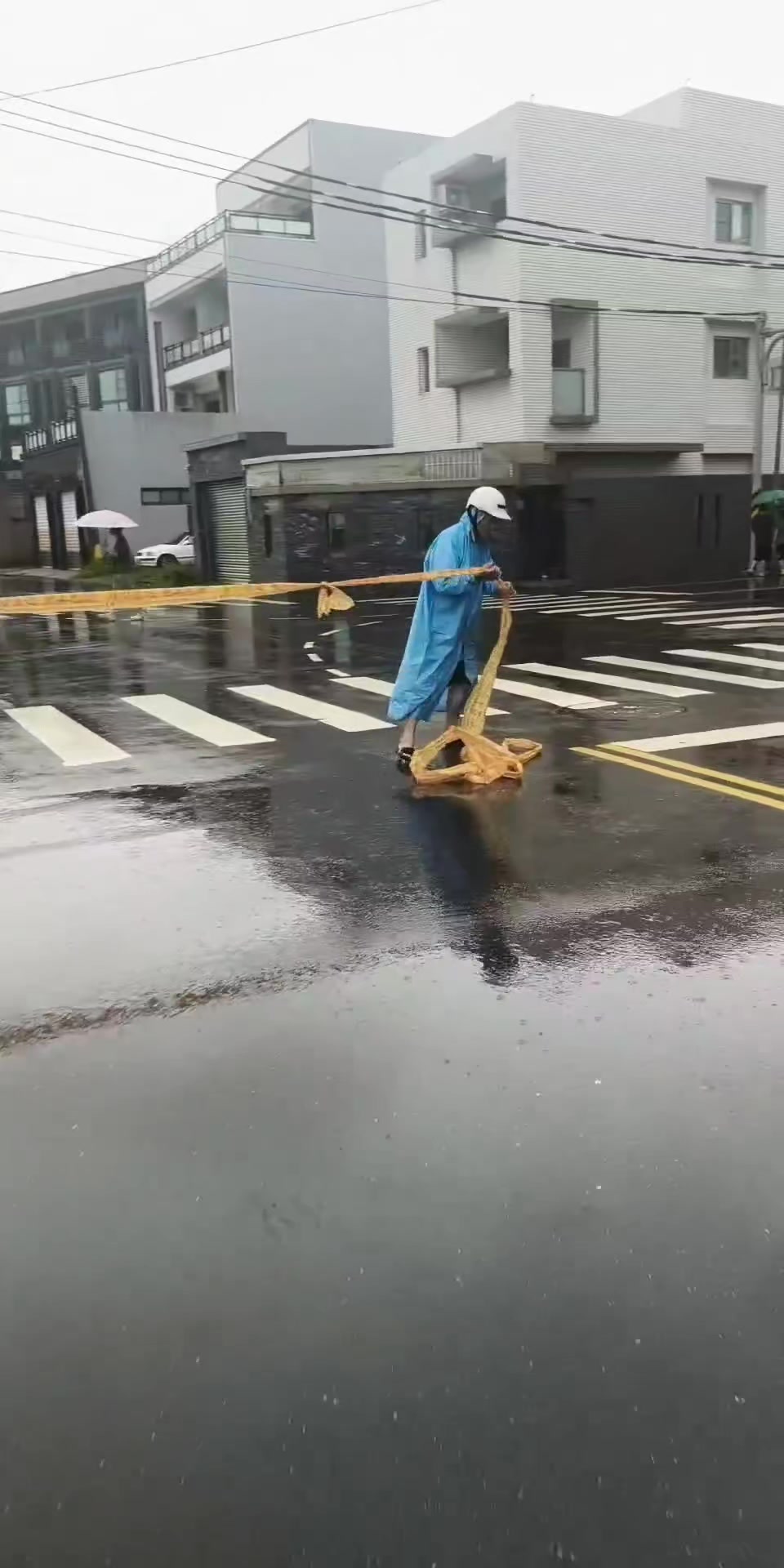 @金導