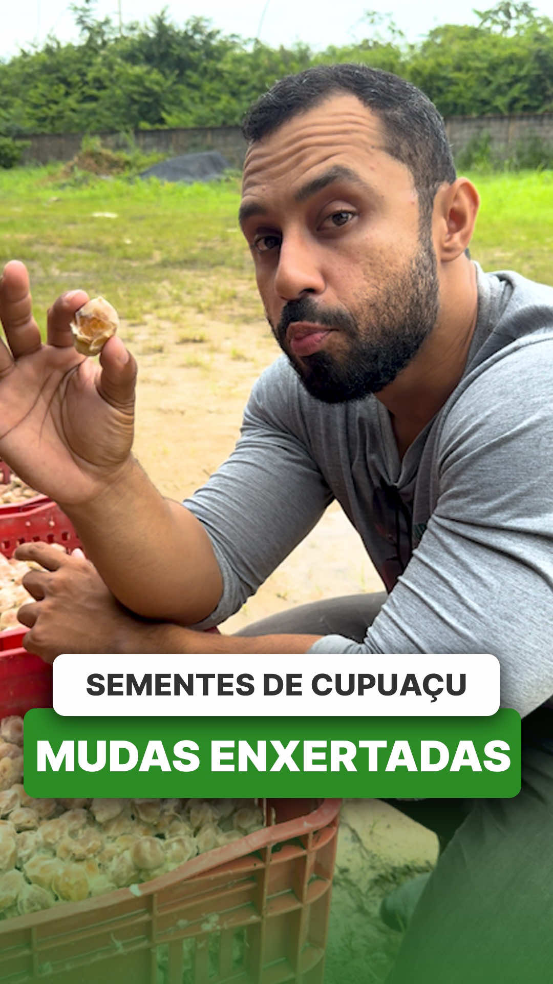 @ViveiroProMudas
