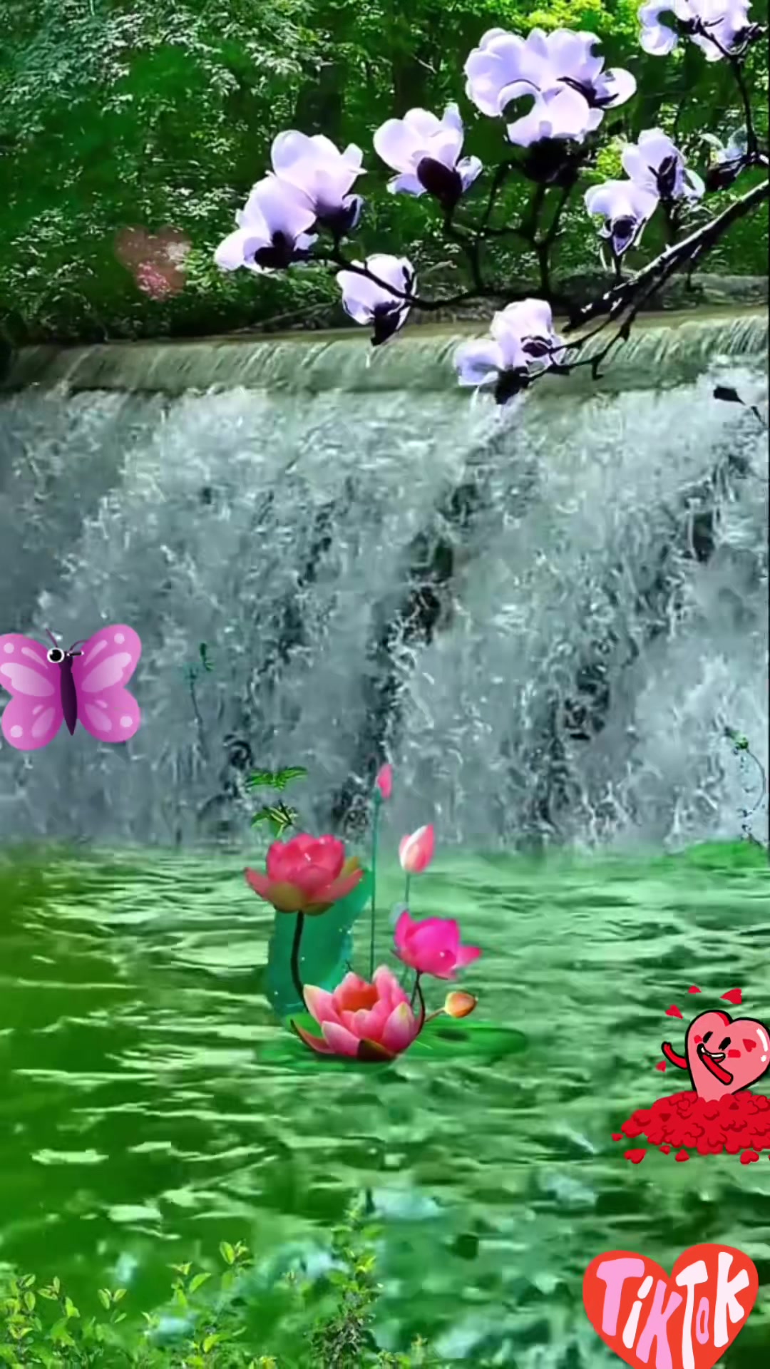 @𝑳𝒊𝒏 𝑾𝒂𝒊 𝑷𝒉𝒚𝒂𝒓-MDY
