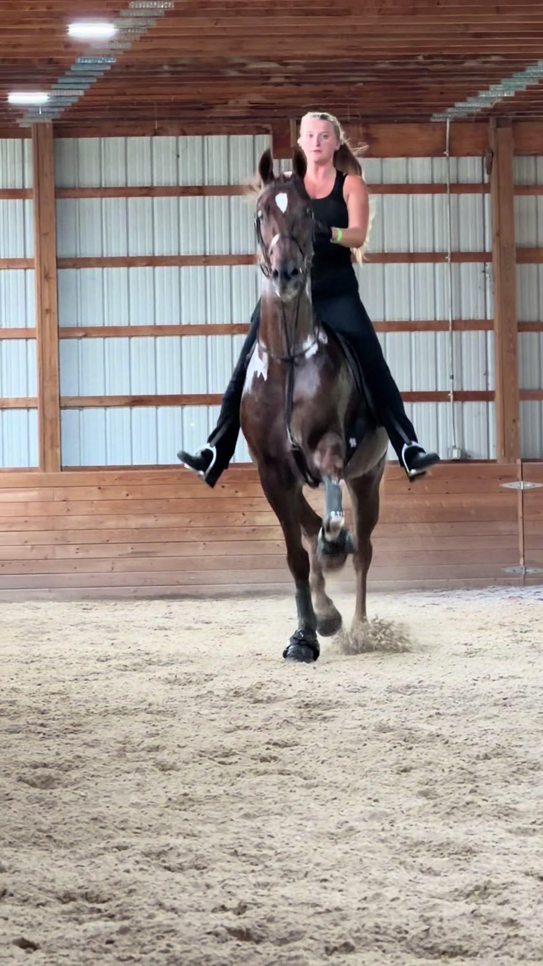 @Seraphim&ensp;Stables